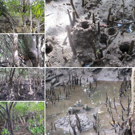 CA0560D9-5184-4547-B15E-0CD0B31BEDF2