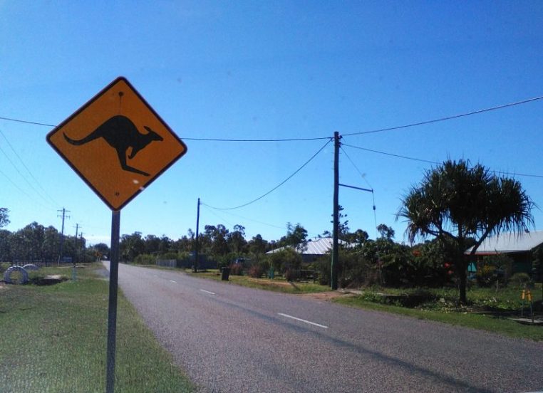 Image 8. Kangaroo warning sign for motorists, Balgal Beach. This beach is another of Townsville’s northern beaches.