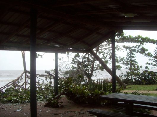 Image 10. After Cyclone Yasi. Image kindly contributed Terry Chapman.