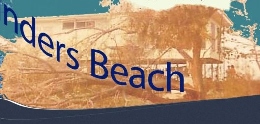 Image 8. The house next door to Peter Davis in Reef Street. On the aerial shot below (Image 9) the two houses are positioned just outside the image (upper left).